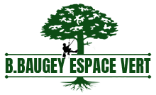 elagage-b-baugey-espace-vert